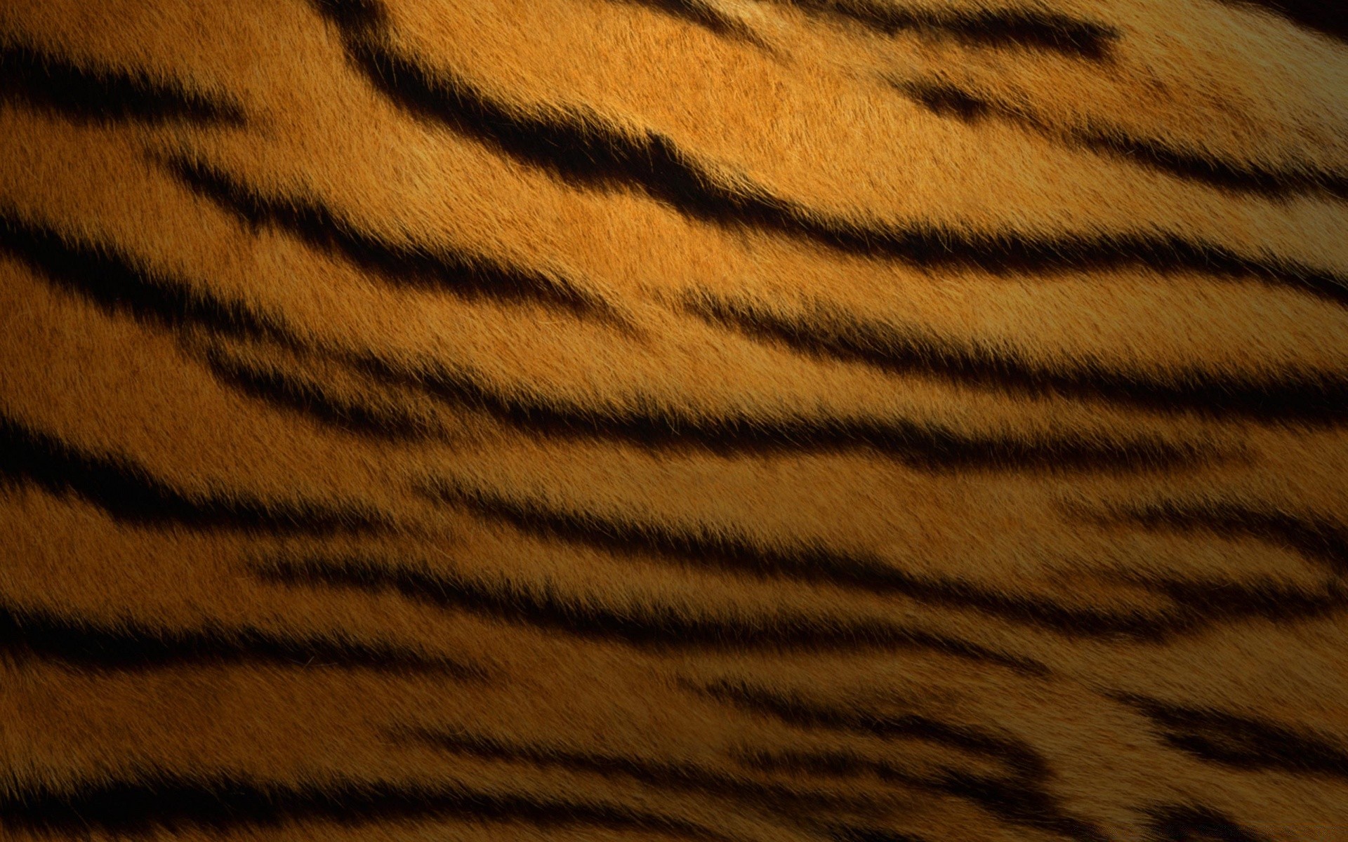 животные мех камуфляж полоса тигр шаблон сафари кошка текстура млекопитающее ткань гепард рабочего стола зоопарк дизайн леопард аннотация кожа осень джунгли