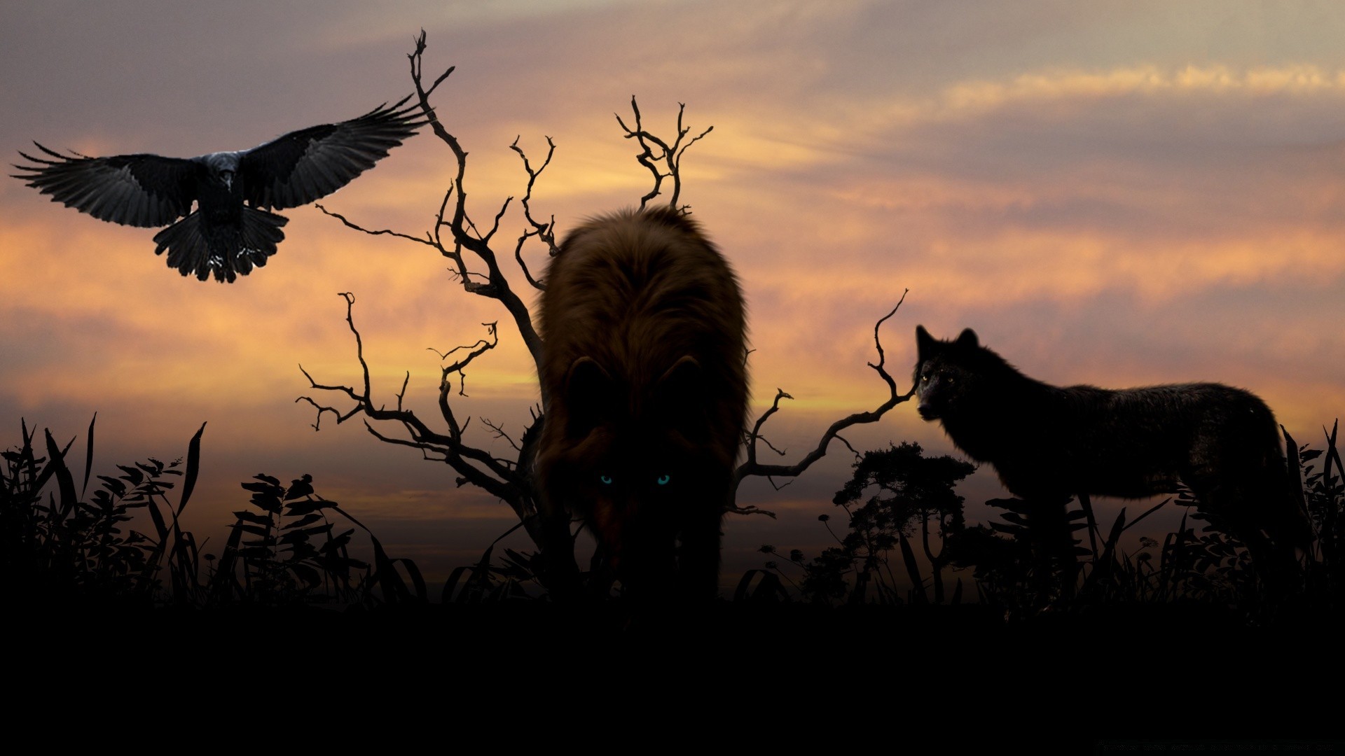 animals silhouette sunset backlit evening dawn dusk bird sky wildlife tree landscape mammal crow sun