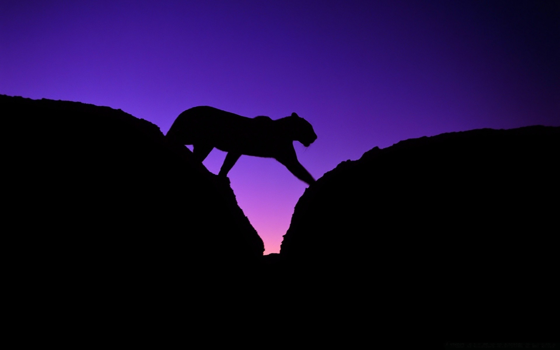 animais silhueta luz de fundo pôr do sol céu paisagem alpinista crepúsculo sombra montanha luz noite rocha homem amanhecer sozinho ao ar livre escalar