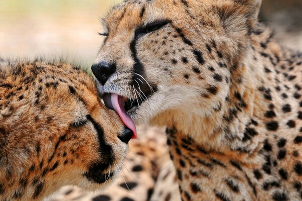 Mom takes care of her baby