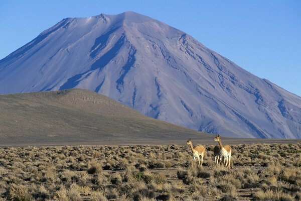 En medio de las montañas del desierto