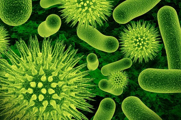 Células agrandadas de bacterias y virus