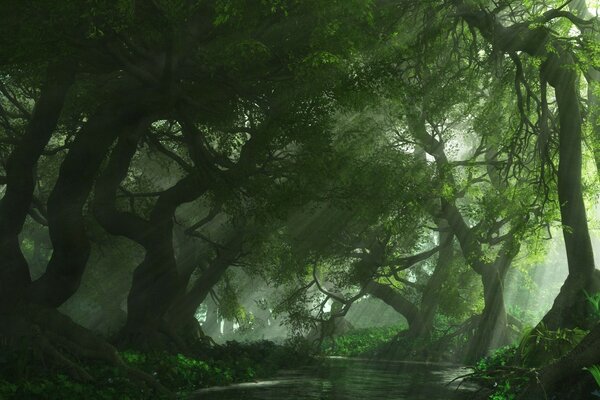 Foresta oscura in grafica 3d