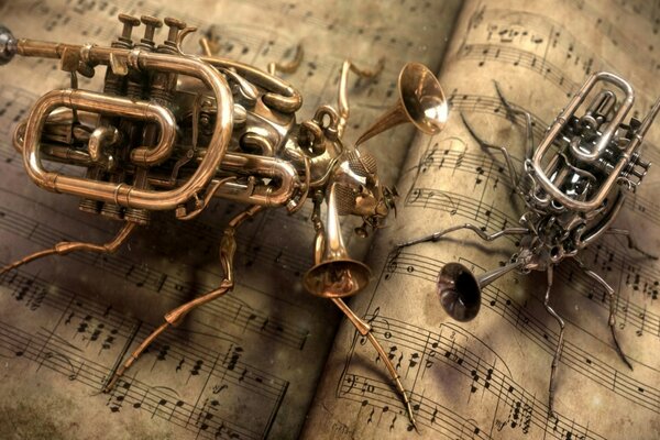 Insecte des instruments de musique