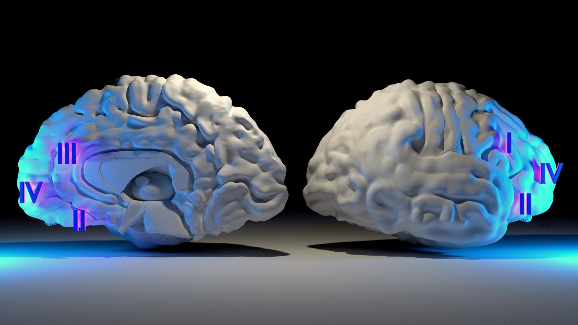 3d графика анатомия неврология психология медицина глава медицинские наука рабочего стола интеллект интеллектуальной иллюстрация памяти