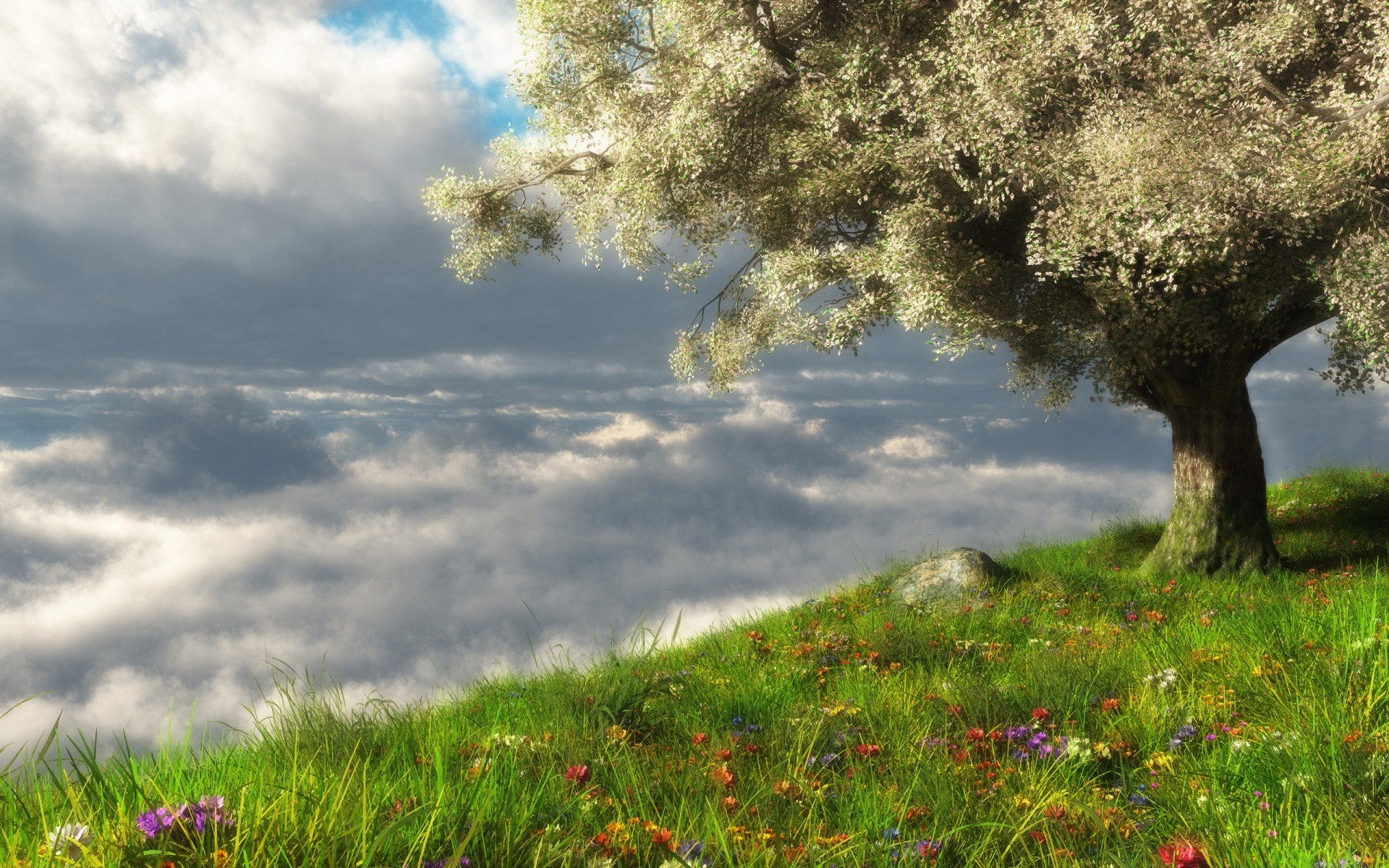 grafica 3d erba natura paesaggio fiore estate fieno campo albero all aperto sole campagna cielo rurale alba bel tempo parco paese