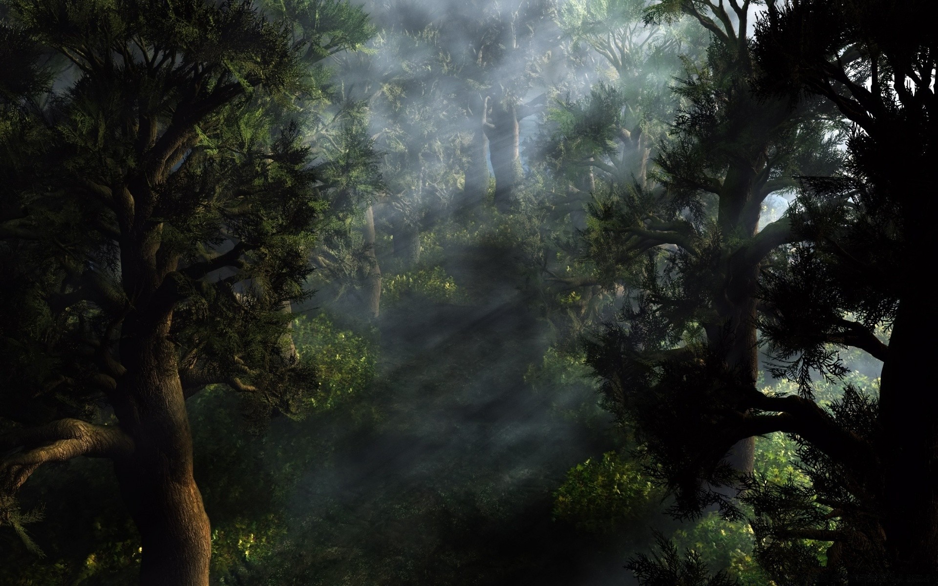 3d graphics tree wood landscape fog nature mist leaf water rainforest light outdoors environment dawn park