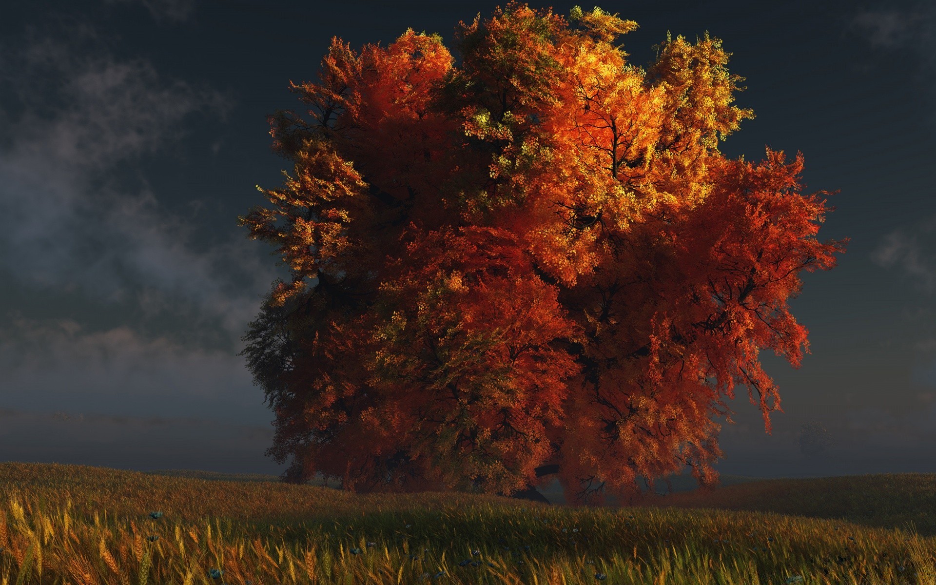 3d графика осень дерево пейзаж лист на открытом воздухе природа древесины рассвет туман хорошую погоду сельской местности солнце живописный дневной свет туман