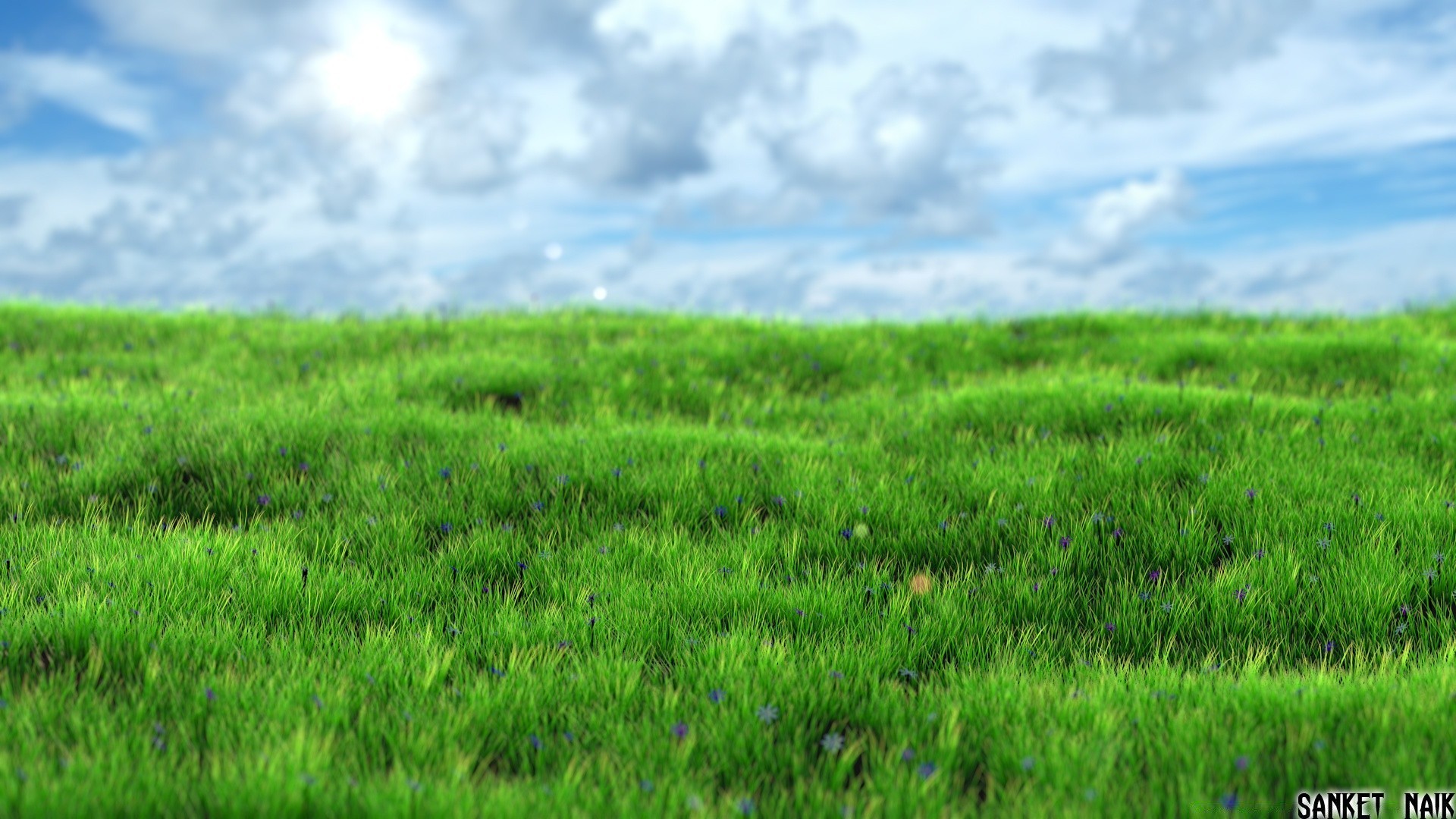 3d graphics grass lush growth rural summer nature field pasture hayfield soil leaf flora lawn countryside outdoors farmland fair weather grassland