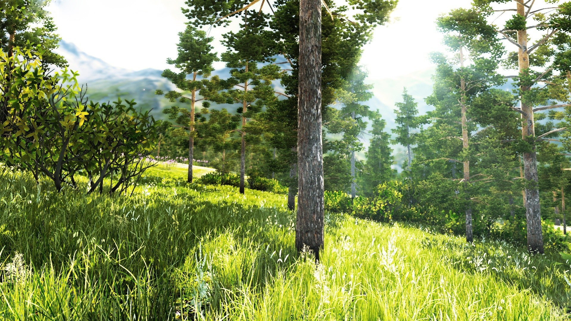 3d graphics landscape nature wood summer tree grass outdoors environment flora growth fair weather scenic hayfield field rural sun scene season park