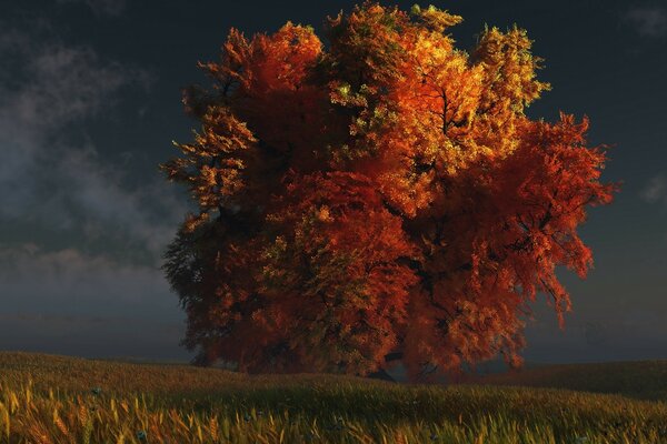 A lonely tree in an autumn field