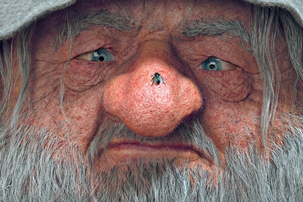 A fly on the nose of an old dwarf