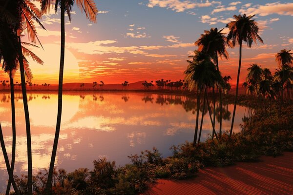 Plage tropicale au coucher du soleil