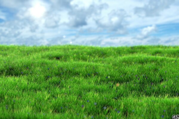 Üppiges grünes Gras und blauer bewölkter Himmel