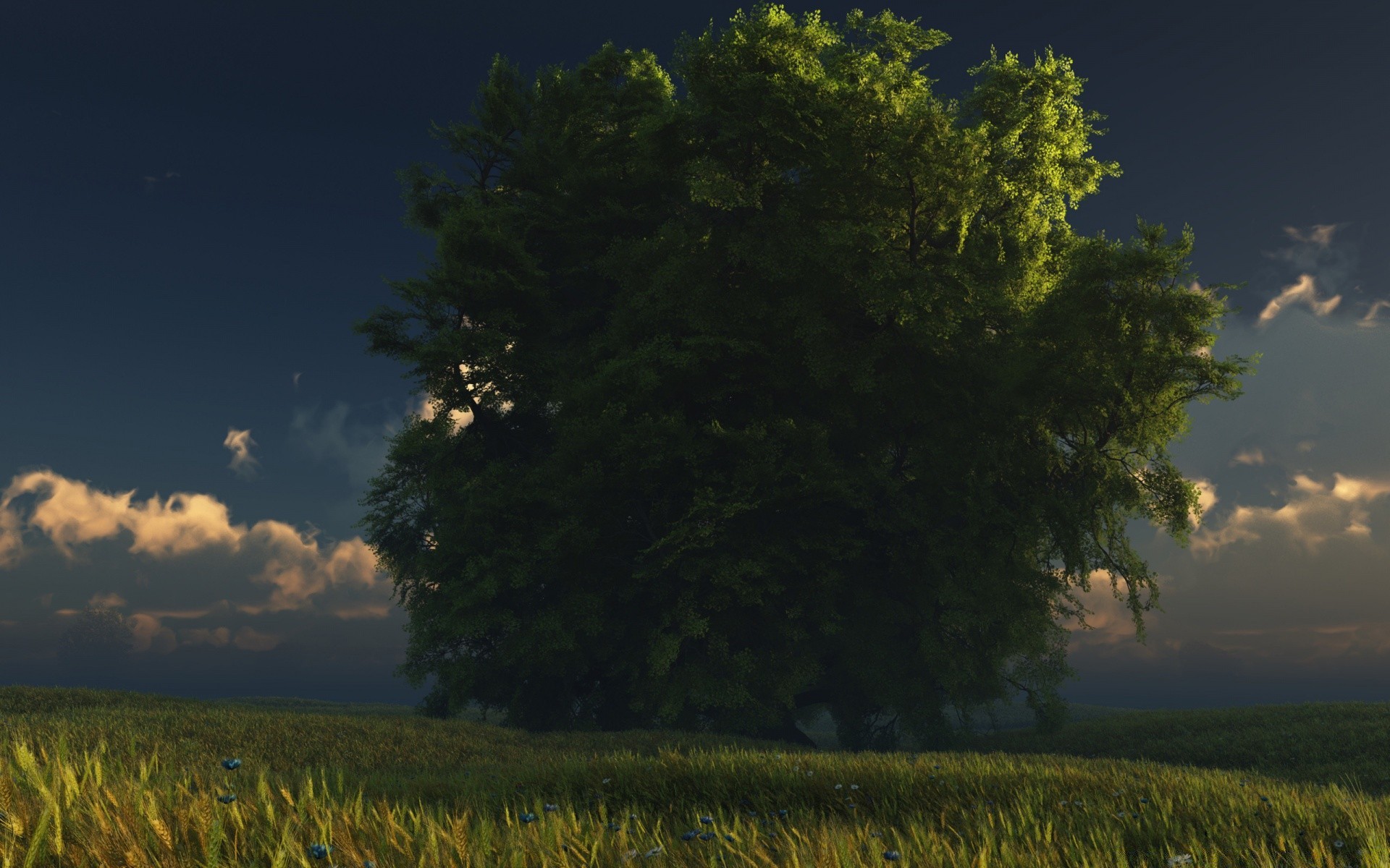 3d графика пейзаж дерево на открытом воздухе возделываемые земли сельское хозяйство небо природа дневной свет свет поле закат вечером живописный пастбища рассвет ферма древесины трава сельской местности