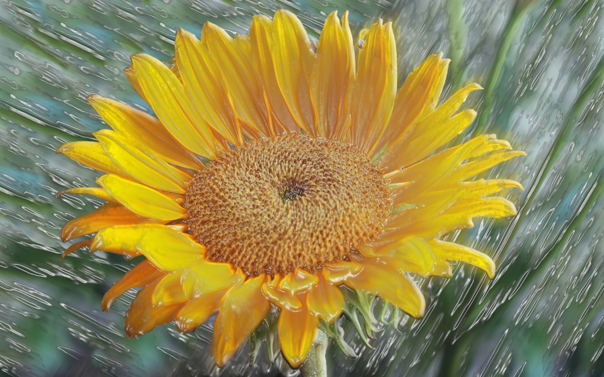 3d-grafik natur flora sommer blume blatt garten gutes wetter hell farbe blumen im freien sonne schön wachstum botanisch blütenblatt