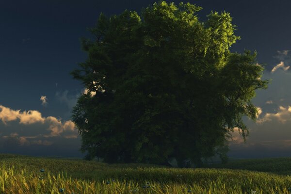 Un árbol solitario en medio de un Prado verde contra un cielo azul