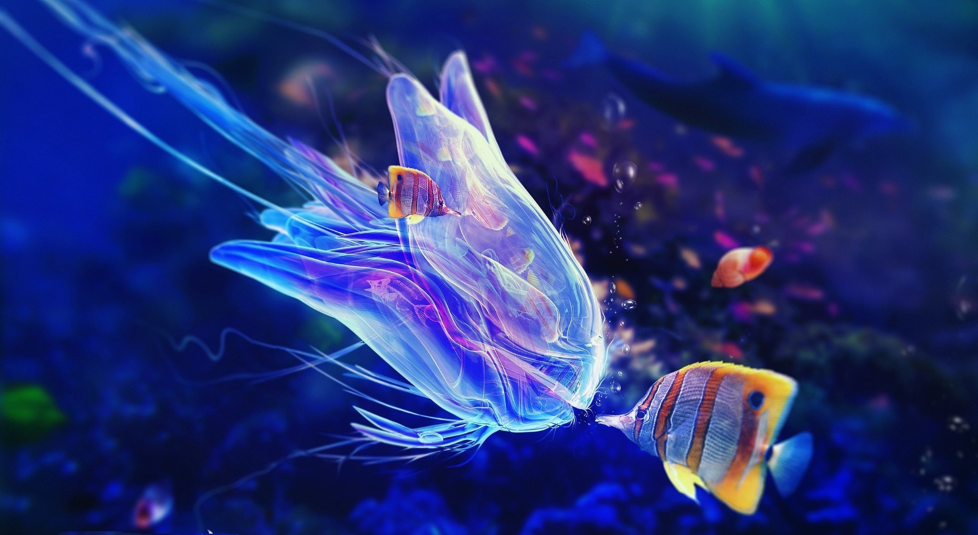 обитатели океанов и рек подводный аквариум рыбы океан медузы беспозвоночных воды море плавание рабочего стола биология коралловый глубокий цвет танк