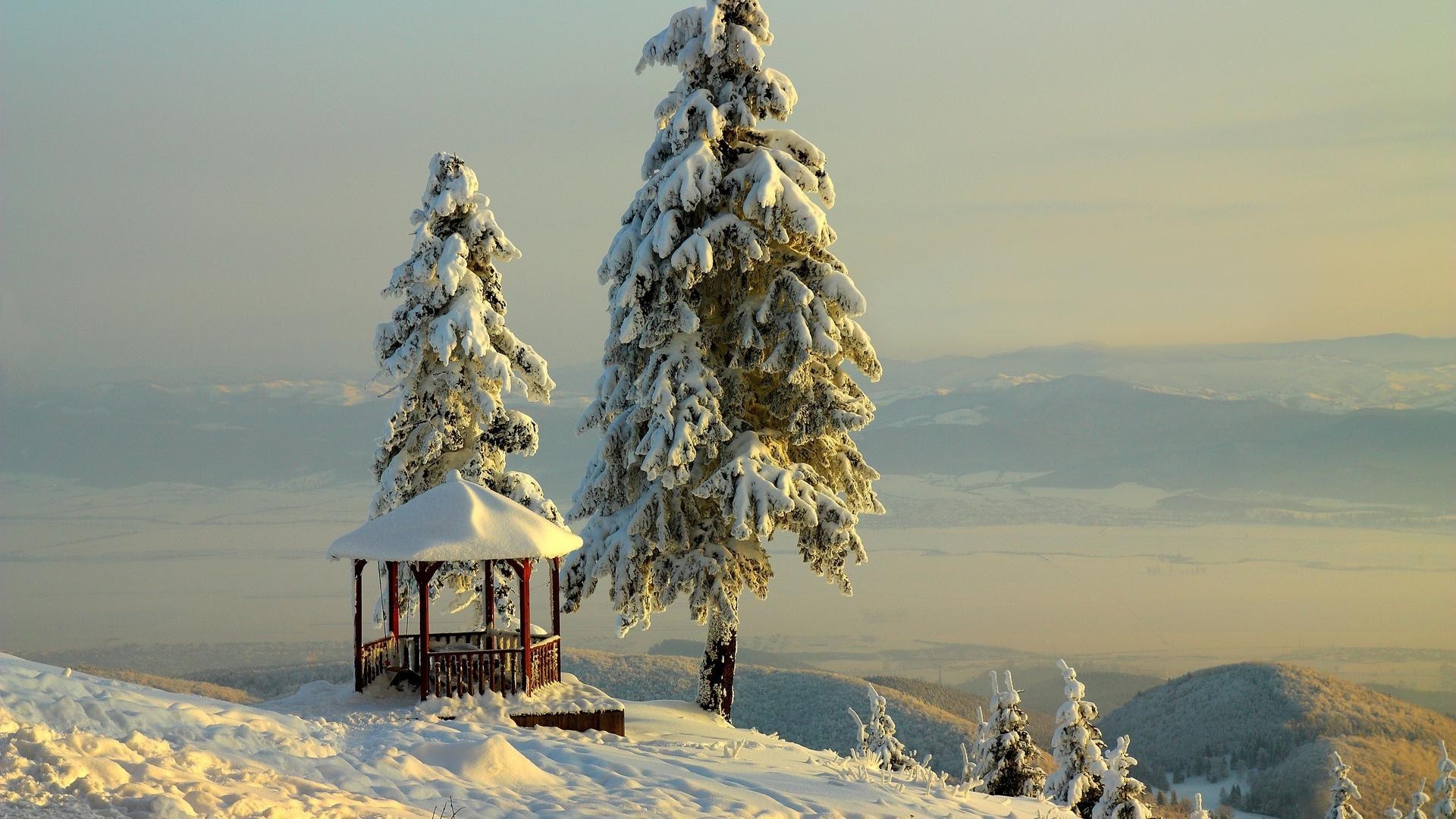 winter schnee frost kälte eis himmel gefroren im freien berge reisen landschaft holz natur baum