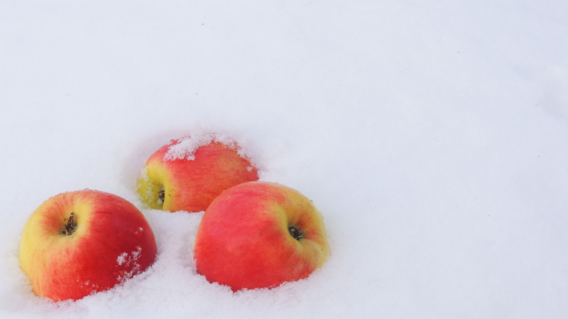 beeren obst essen apfel wachsen natur gesundheit lecker saftig kalt stillleben essen sommer süß hell