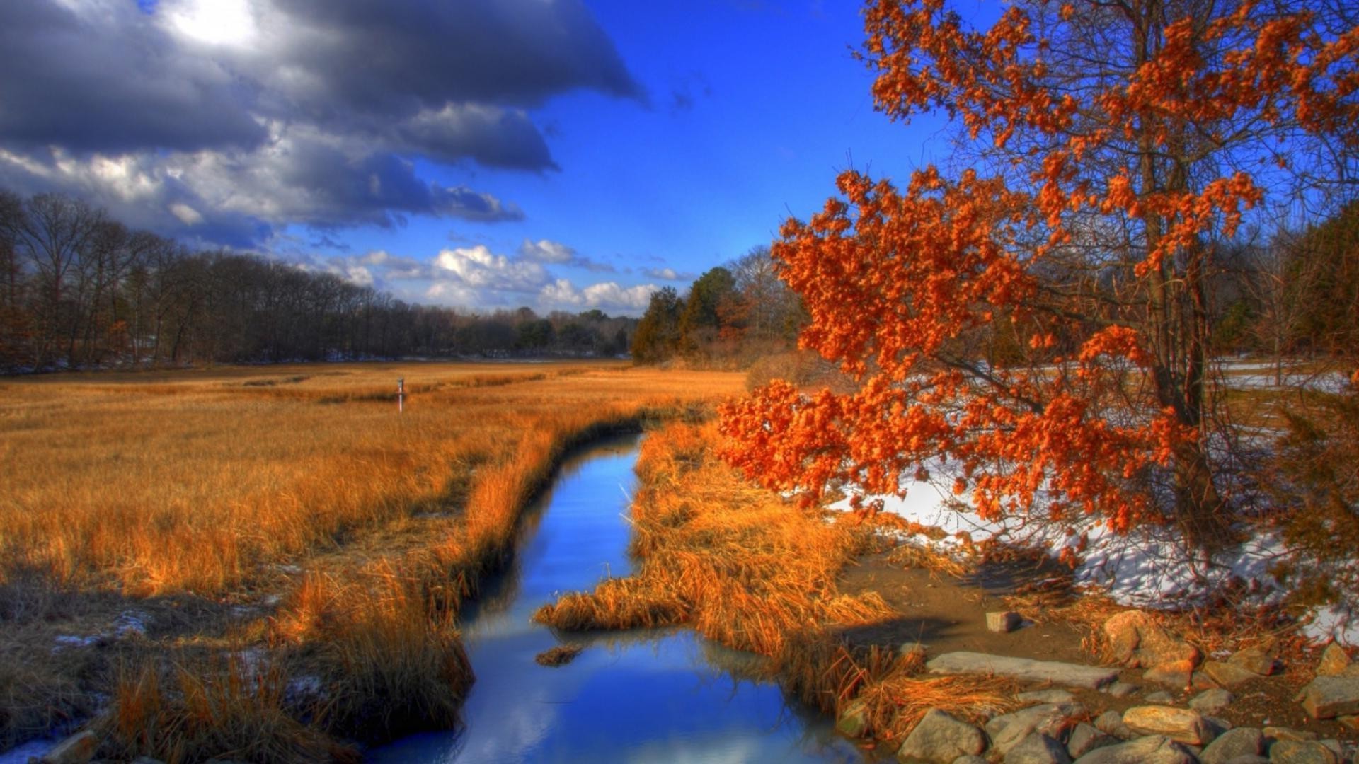 rivières étangs et ruisseaux étangs et ruisseaux automne paysage arbre bois nature à l extérieur eau aube rivière soir réflexion feuille lac scénique coucher de soleil ciel