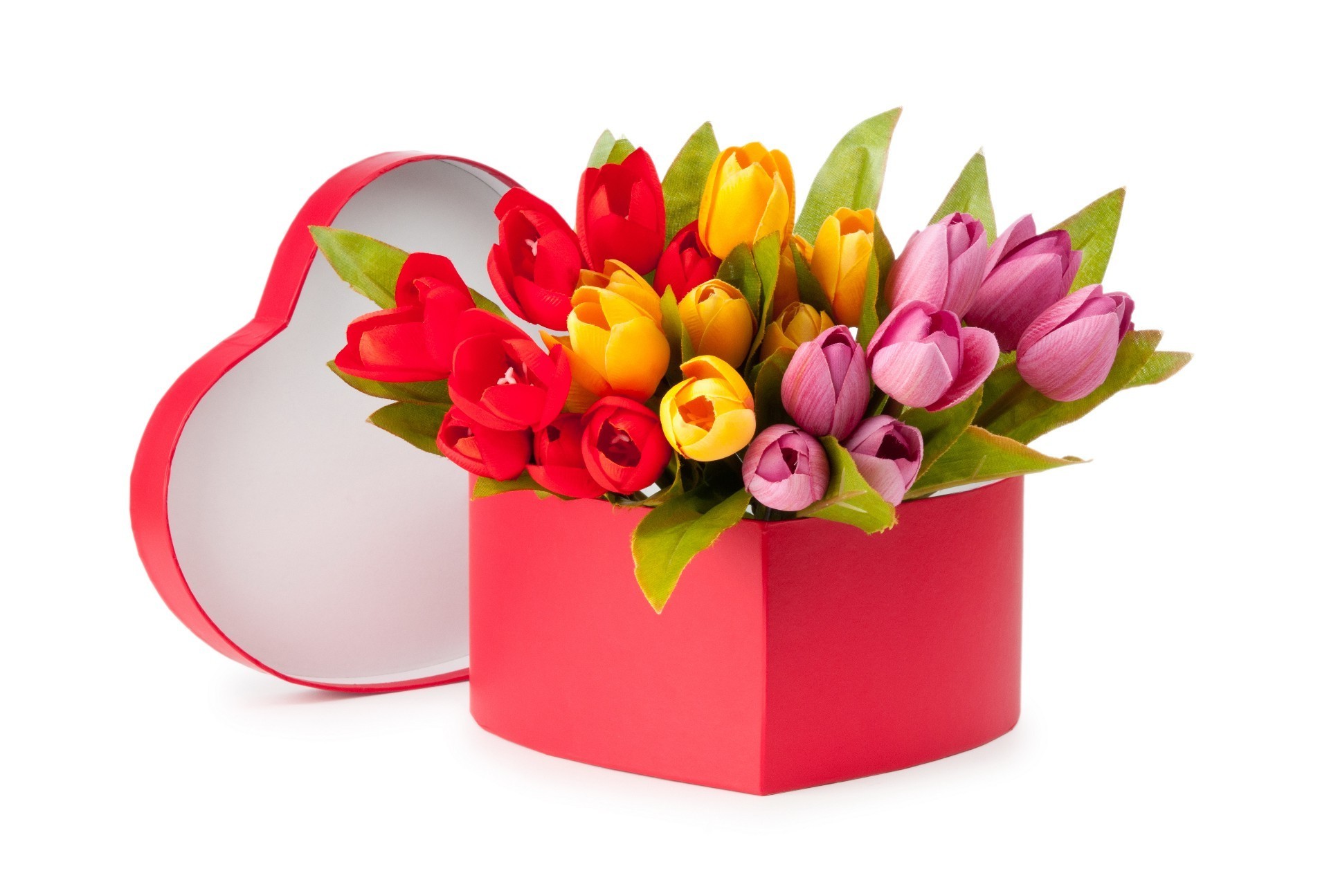 tulipes cadeau fleur anniversaire bouquet décoration feuille flore nature isolé pâques couleur floral vacances bureau amour lumineux saison belle