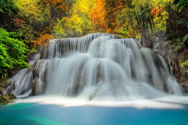 A huge waterfall in yellow leaves