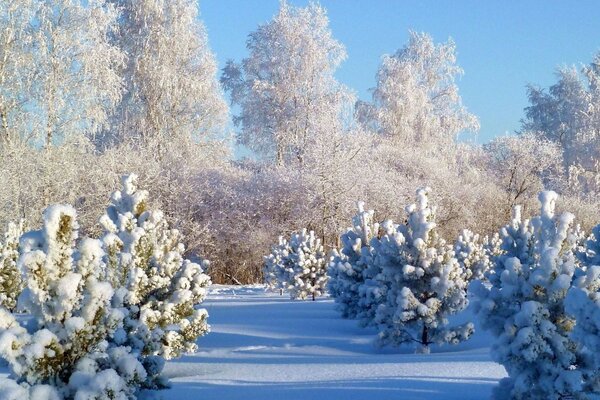 Кабы не было зимы в городах и селах