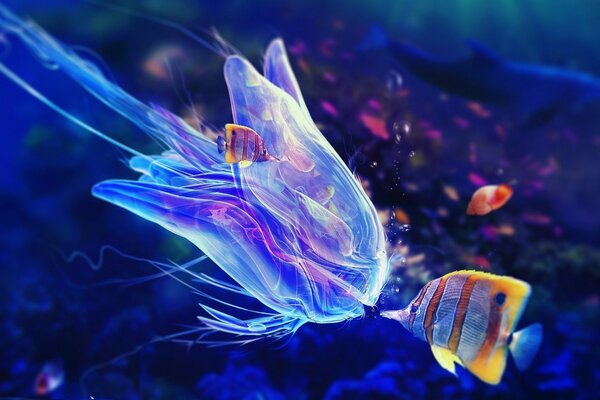 Fish and jellyfish met in the water