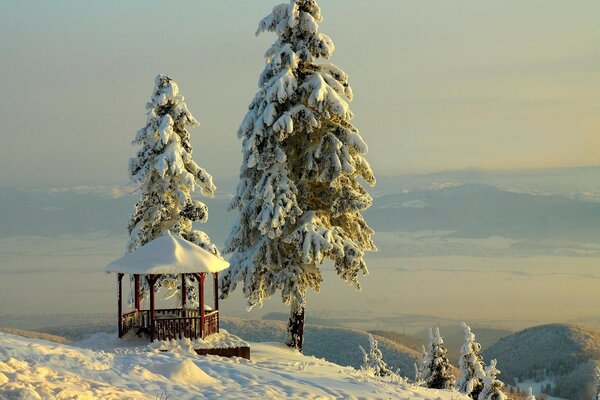 The frosty landscape evokes the icy atmosphere of winter