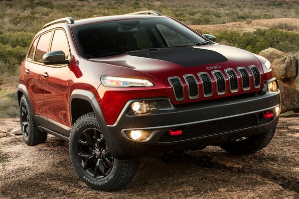 Cherry-colored SUV on alloy wheels