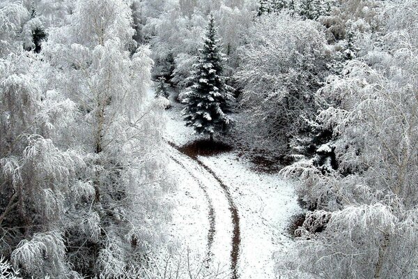 Verschneite Straße vor dem Hintergrund der Winterlandschaft