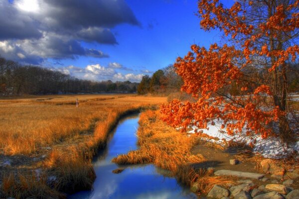 Landscapes of rivers, ponds and streams