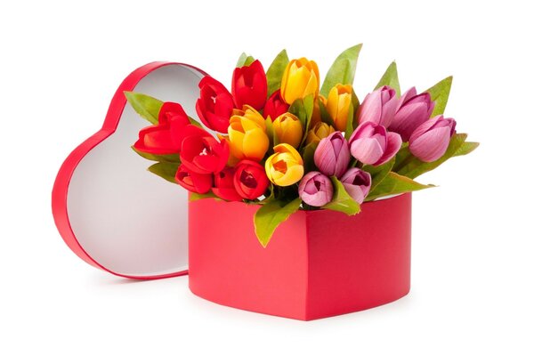 Geschenk zum Geburtstag Tulpen in einer Box