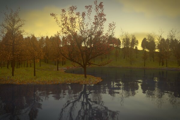 Reflection of trees in quiet water