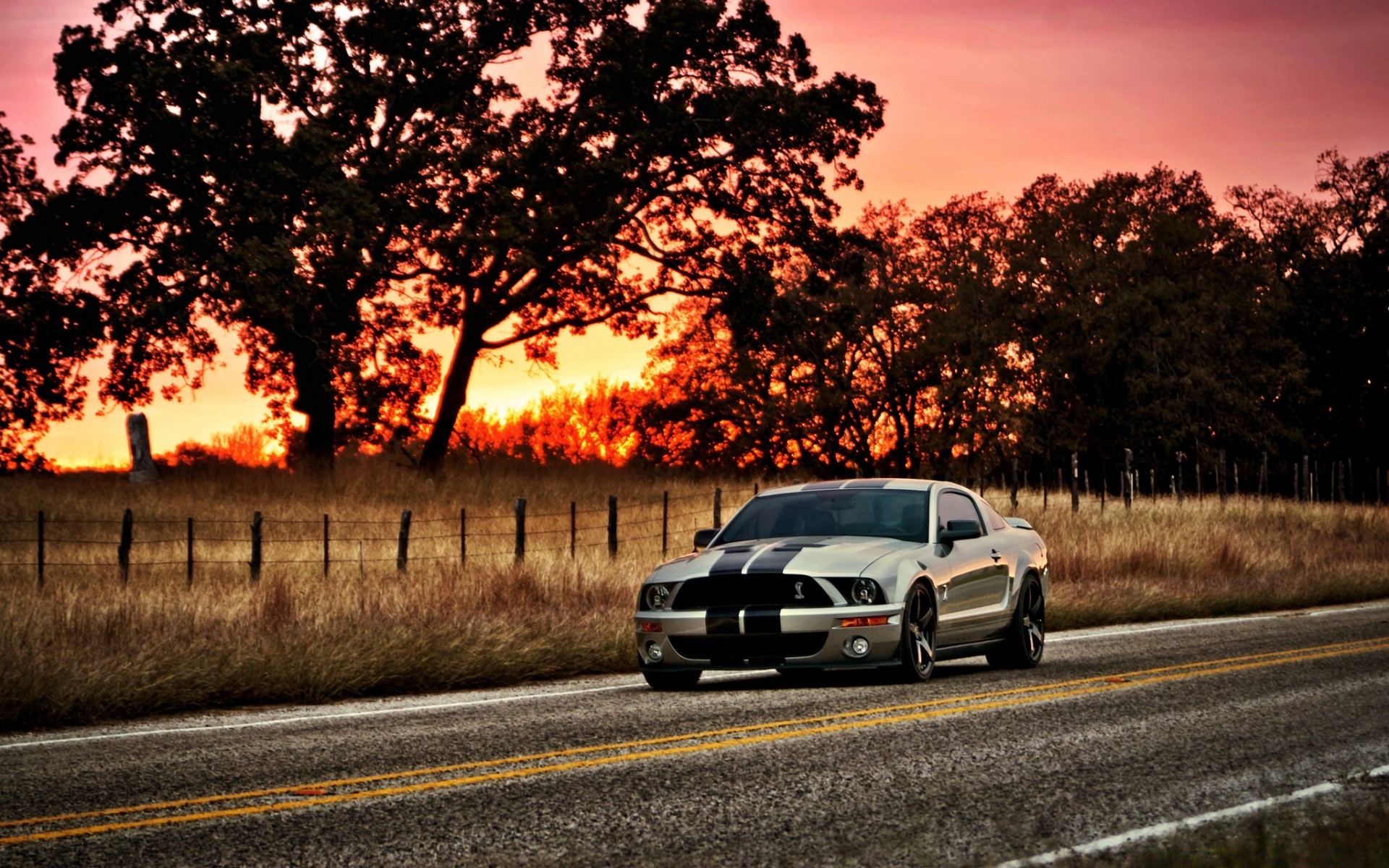 andere geräte straße baum auto landschaft licht straße transportsystem handbuch auto sonnenuntergang dämmerung asphalt