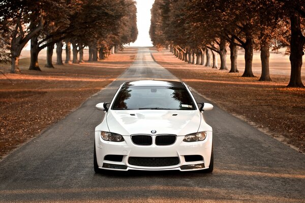 Um BMW branco está na estrada. Nas laterais das árvores