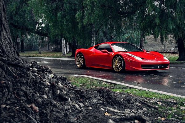 Coche rojo en asfalto mojado