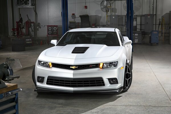 A powerful white beast in the garage