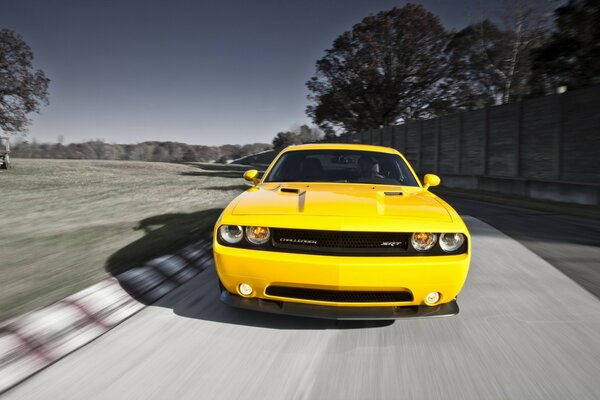 Voiture jaune vif sur la piste