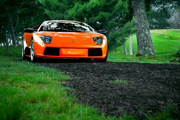 Lamborghini naranja en la hierba