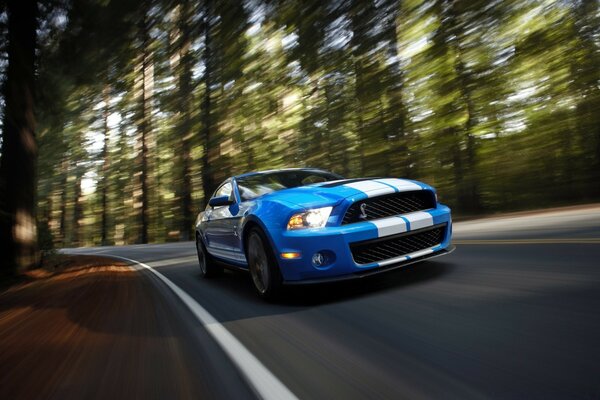 Blue car at speed in the forest