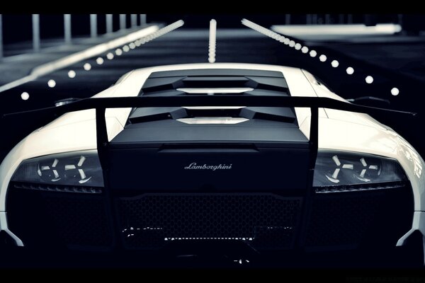 Lamborghini rear view. Black and white