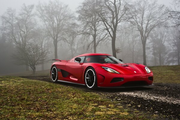 Red car on the background of the forest