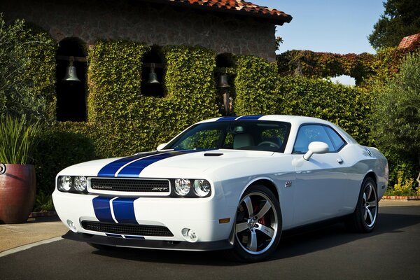 Sporty Ford Mustang in front of nature