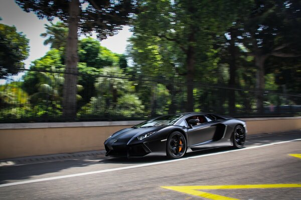 Carro esportivo preto monta ao longo da cerca