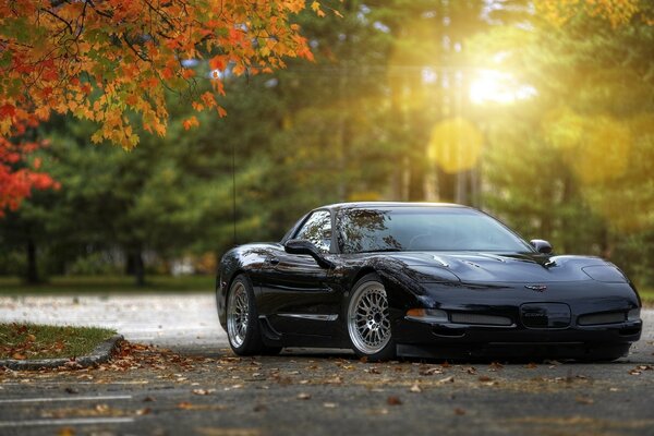 Coche negro contra los árboles de otoño