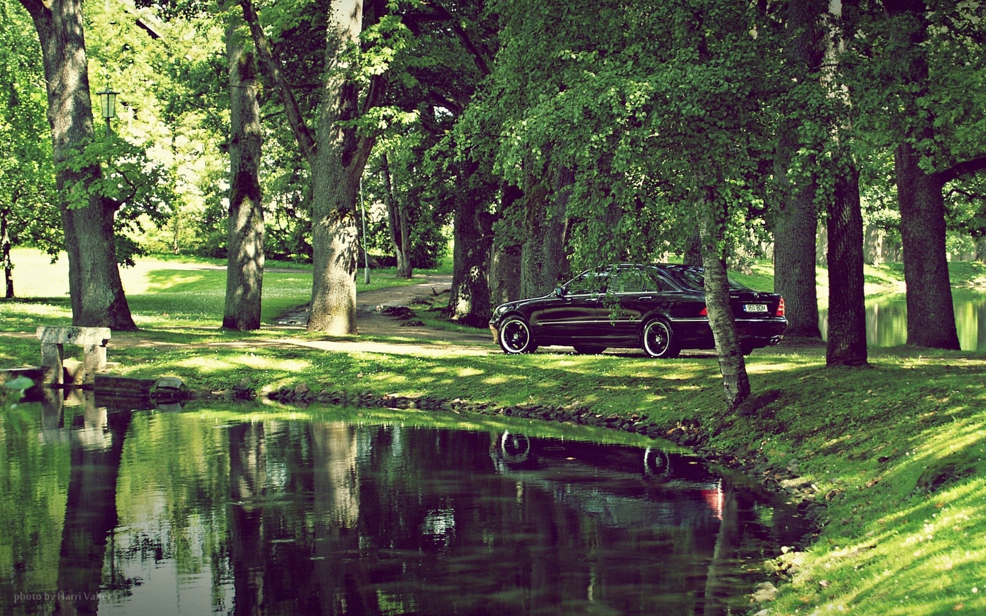 autres appareils nature bois bois parc eau paysage été herbe réflexion feuille à l extérieur saison rivière piscine flore lac belle scénique paysage