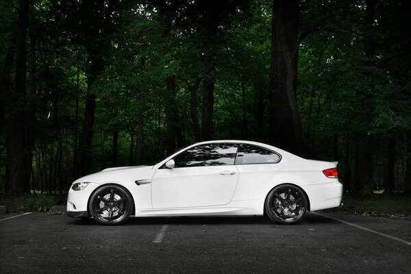 Coche blanco contra el bosque verde