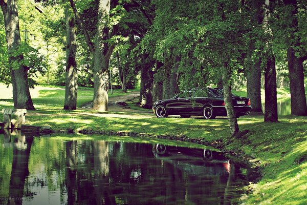 Voiture noire dans la forêt au bord du lac